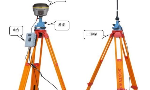 马古凸果实图片-权威马古凸的正确吃法平台,分享专业马古凸炖汤的功效知识_马古凸吃法网